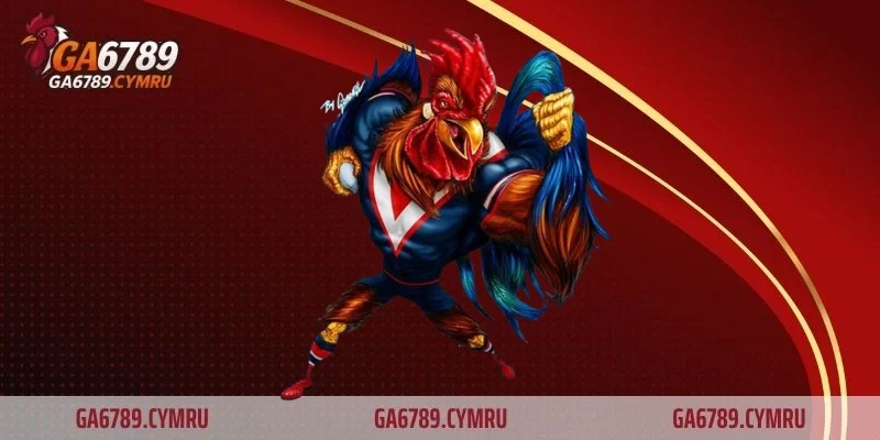 Cách chăm sóc gà bị cựa tại GA6789