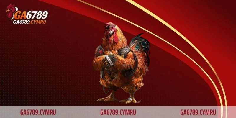 Khả năng chịu đòn